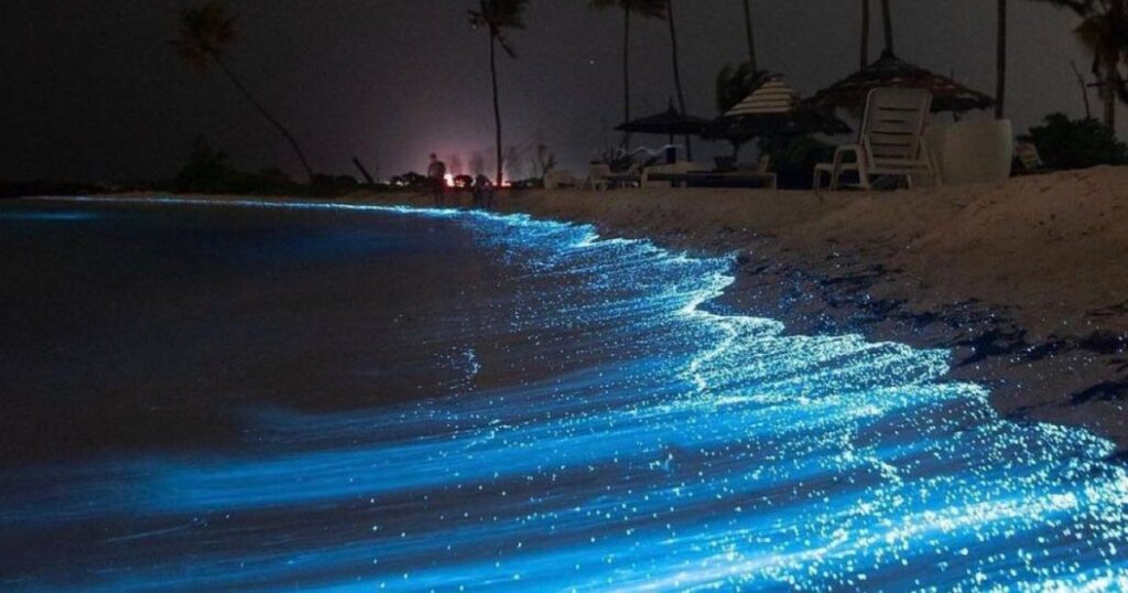 Bioluminescence, Bangaram Island