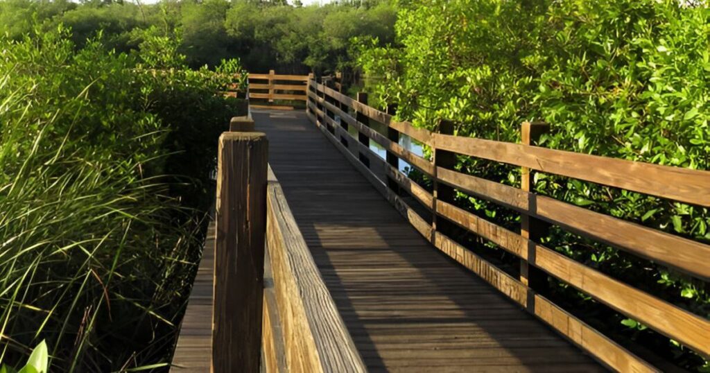 Briggs Nature Center