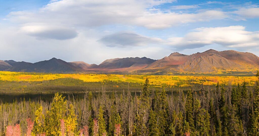 Denali National Park and Conservation Area