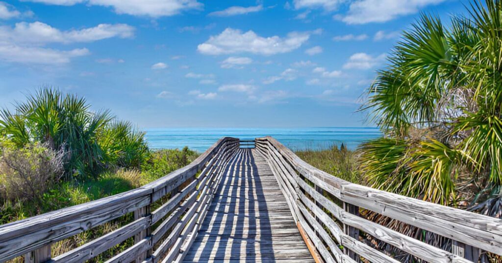 Honeymoon Island State Park Beaches