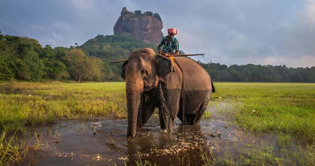 Sigiriya in Sri lanka