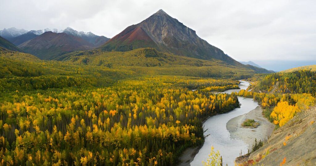 Wrangell-St. Elias National Park and Conservation Area