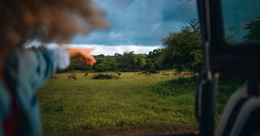 Yala National Park in Sri lanka