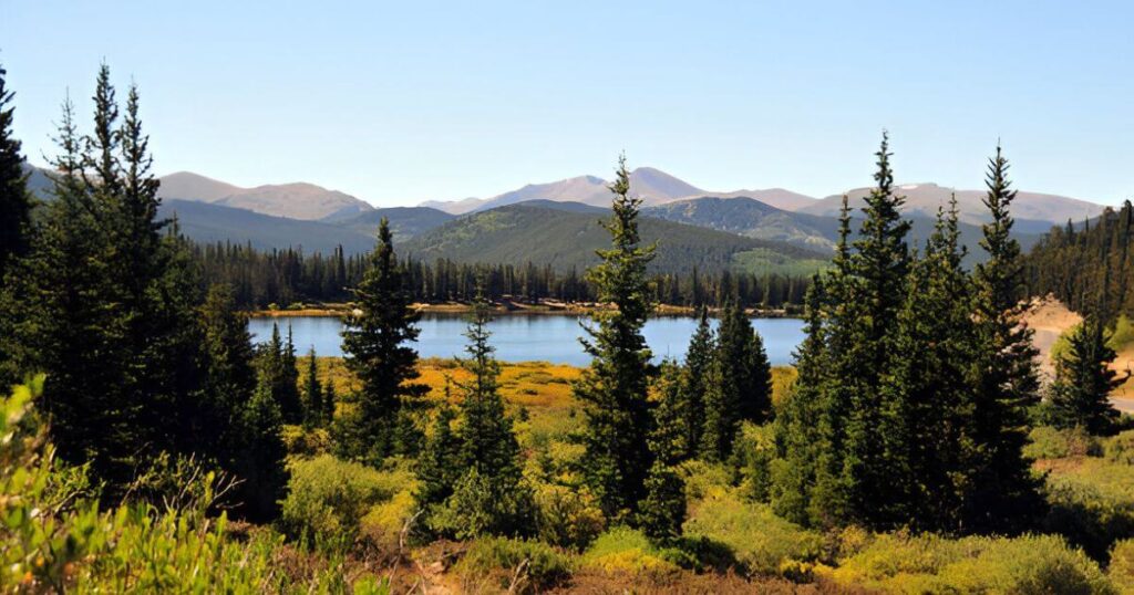 Arapaho National Forest