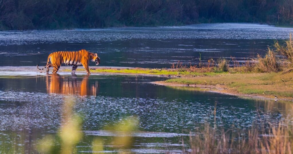 Bardiya National Park