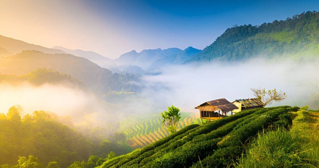 Sunrise view in Chiang Mai