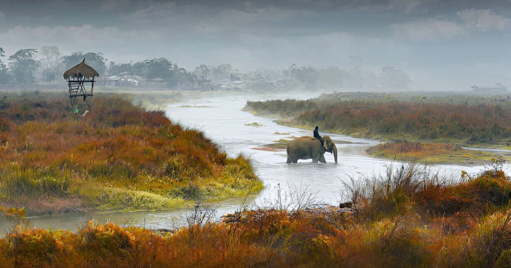 Chitwan National Park