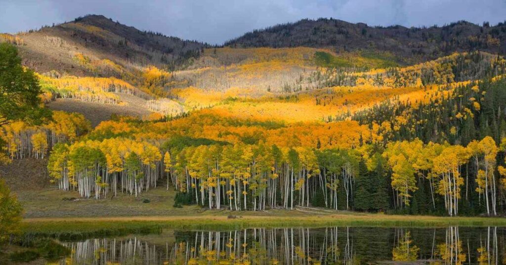 Fish lake national forest in Utah 