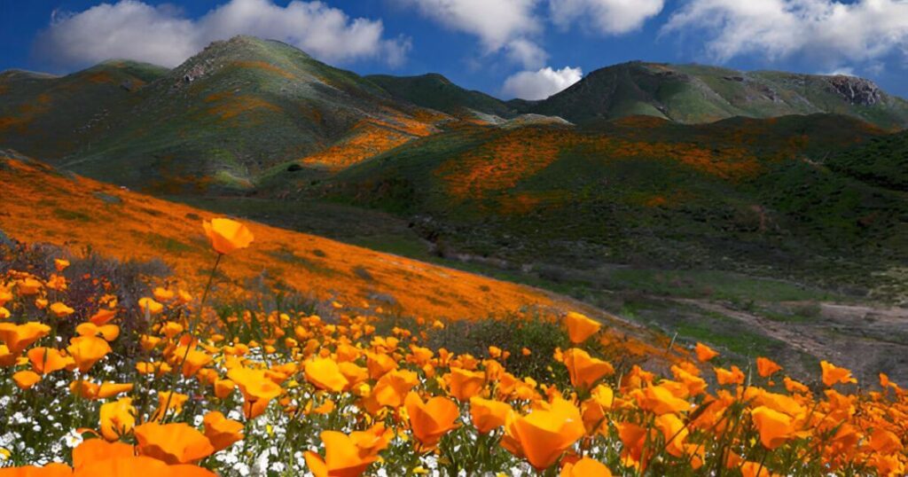 Lake Elsinore in Southern California