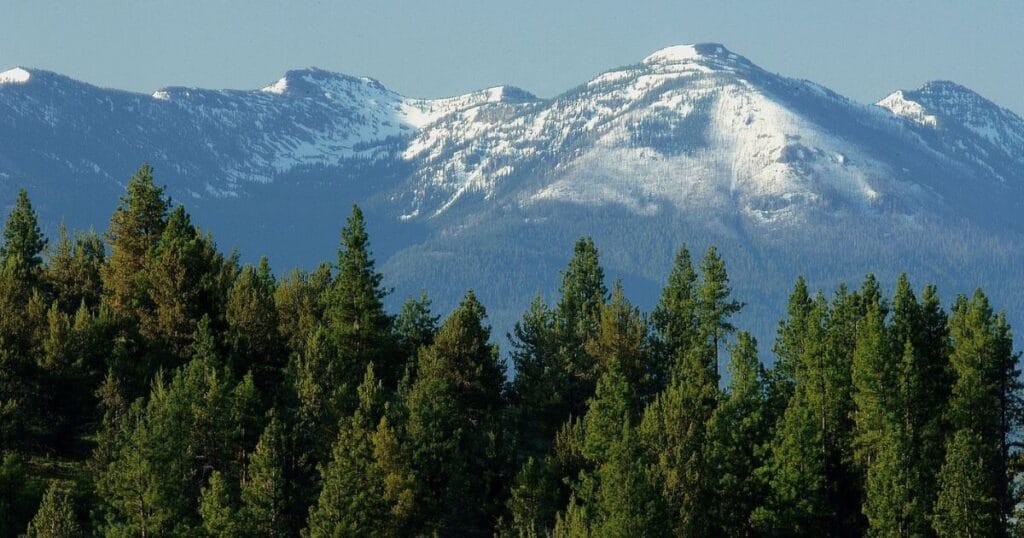 Malheur National Forest in Oregon