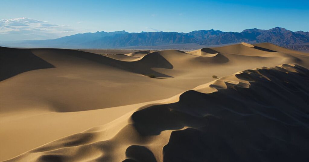 Mojave National Preserve in California