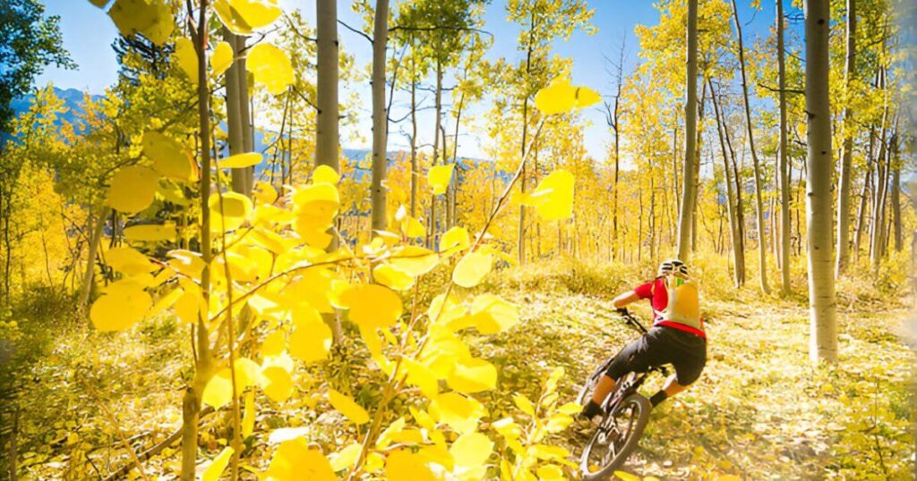 Mountain biking in Aspen