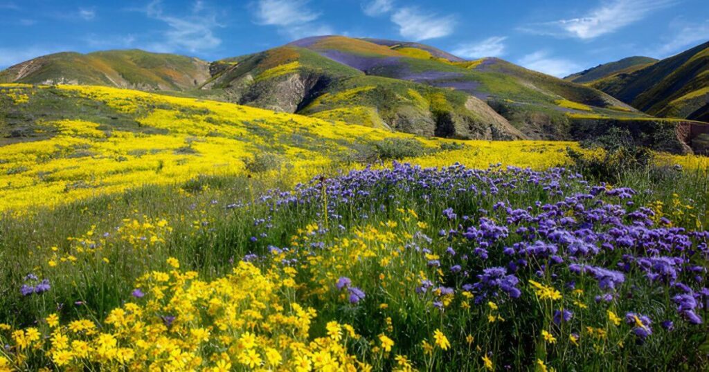 San Luis Obispo in California