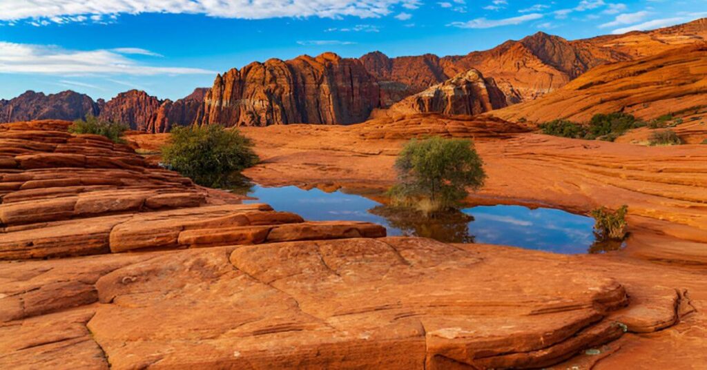 Snow Canyon State Park in Utah