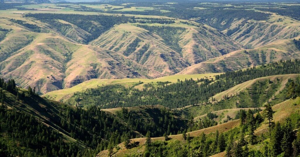 Umatilla National Forest in Oregon