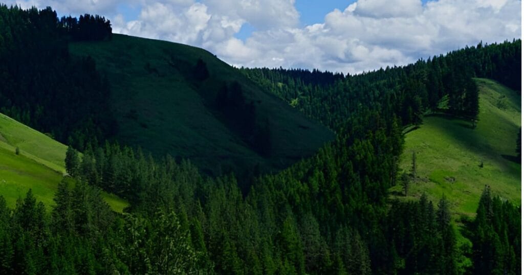 Wallowa-Whitman National Forest in Oregon