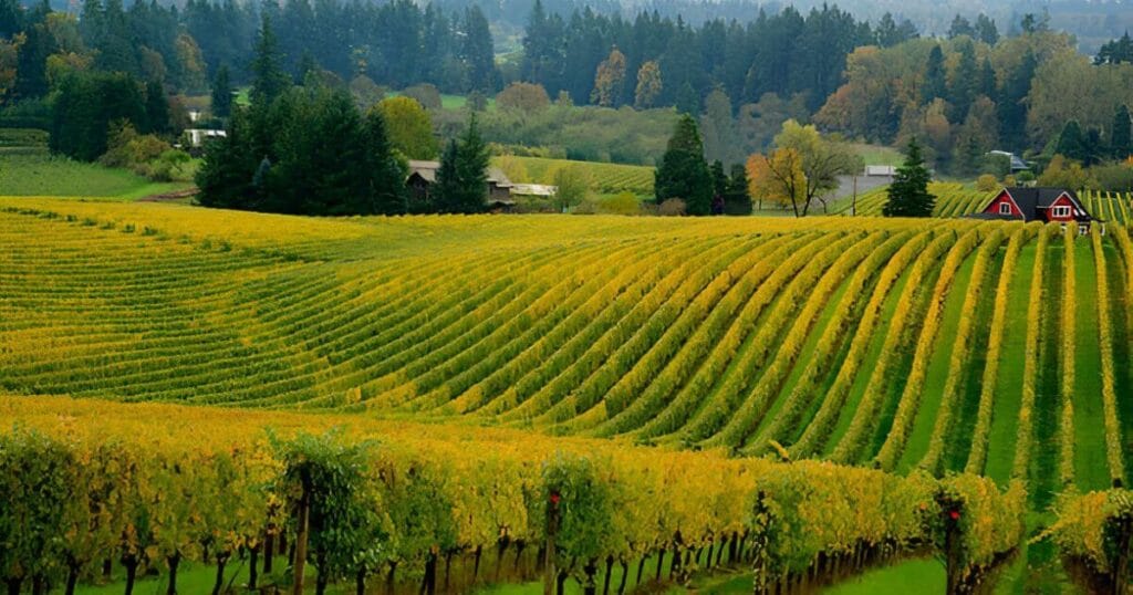 Willamette Valley in Oregon