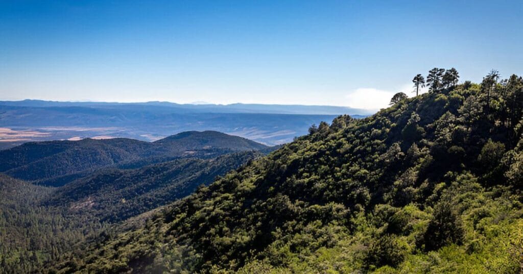 Apache-Sitgreaves National Forest in Arizona