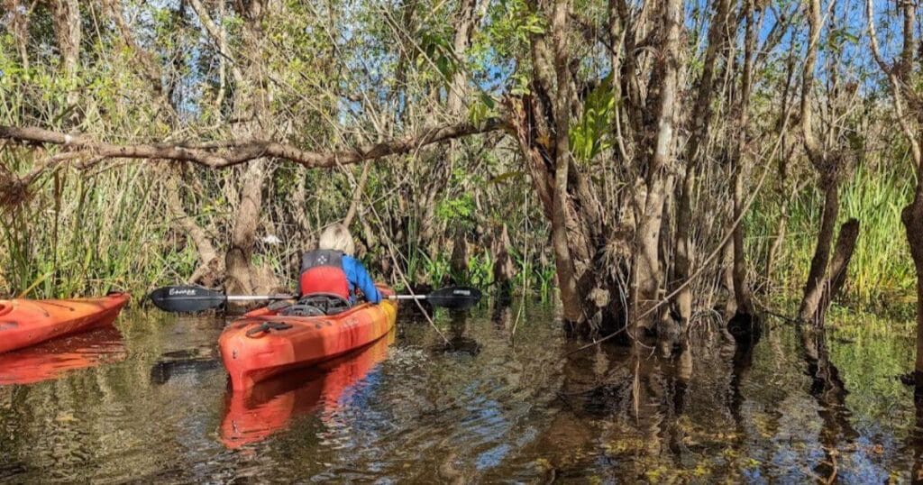 Big Cypress National Preserve in Florida