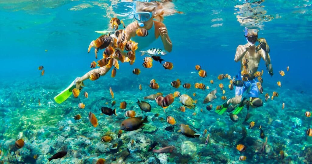 Snorkeling at Molokini Crater in Maui