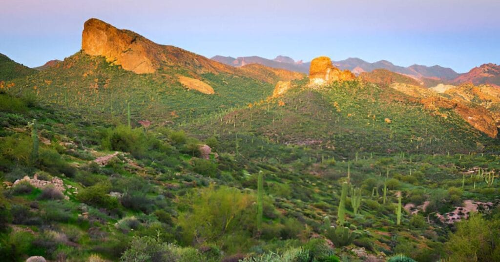 Tonto National Forest in Arizona