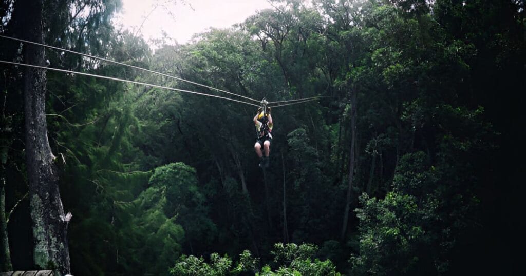 Ziplining in Mau