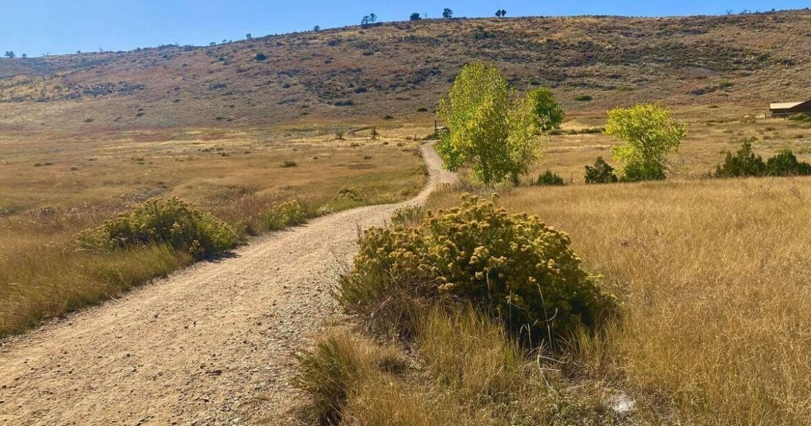 Coyote Ridge Trail best family hikes in Colorado