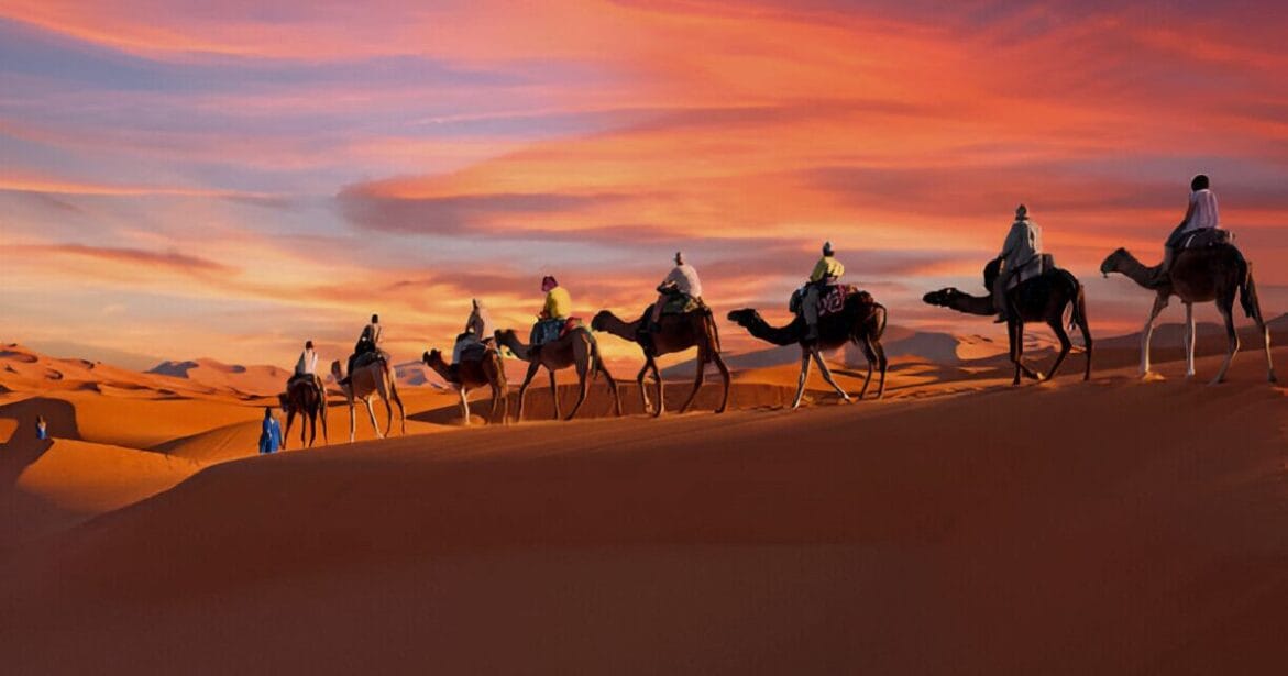 Desert  camel rides in Erg Chebbi with sunset in Morocco