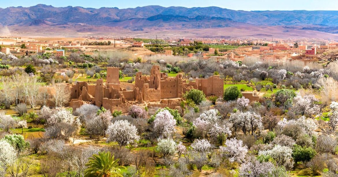 Beautiful Rose Valley with rose garden in Morocco