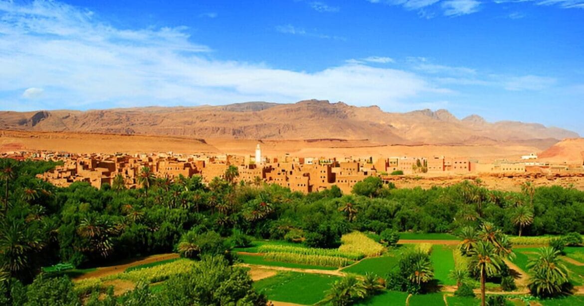 Beautiful palm garden in Tinghir, Morocco