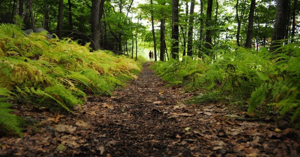 Hiking Trails in Vieques ,Puerto Rico