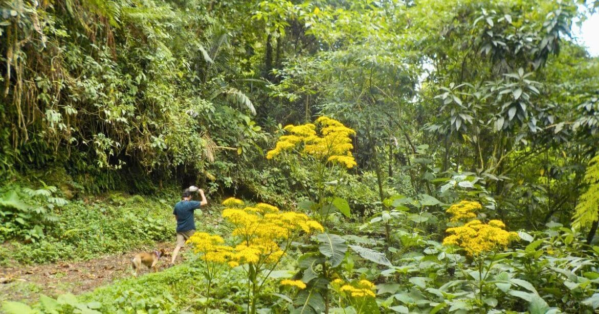 Hiking Trails on Culebra in Puerto Rico