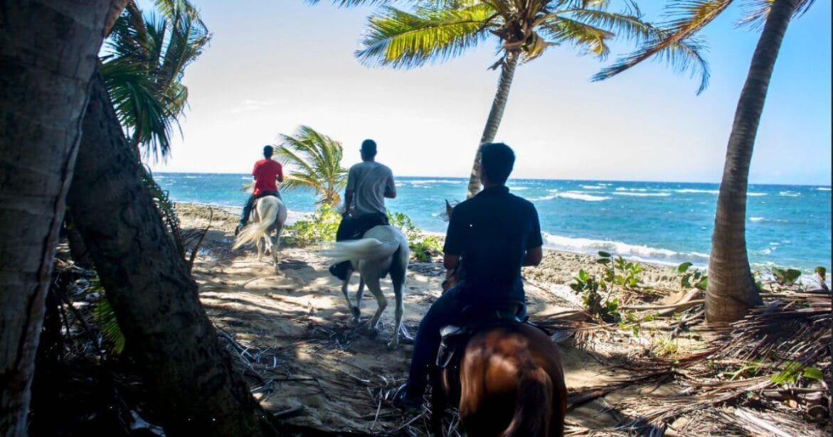 Horseback Riding in Vieques island, Puerto Rico