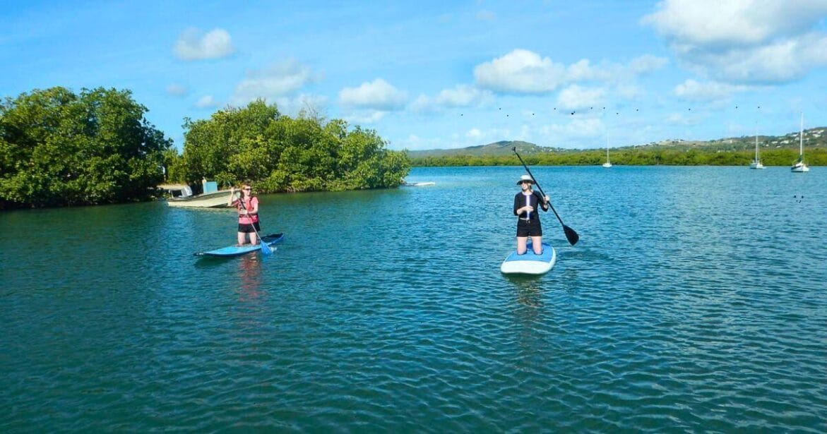 Paddleboarding in Vieques Island, Puerto Rico