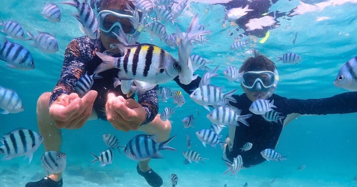 Snorkeling  in Vieques Island, Puerto Rico