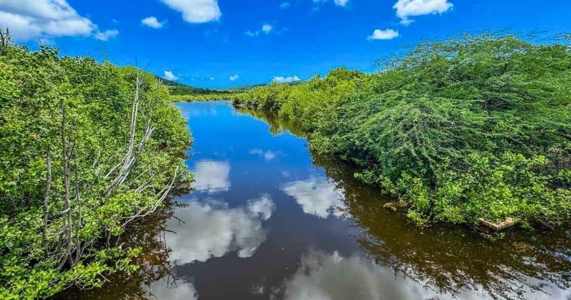 Vieques National Wildlife Refuge in Puerto Rico