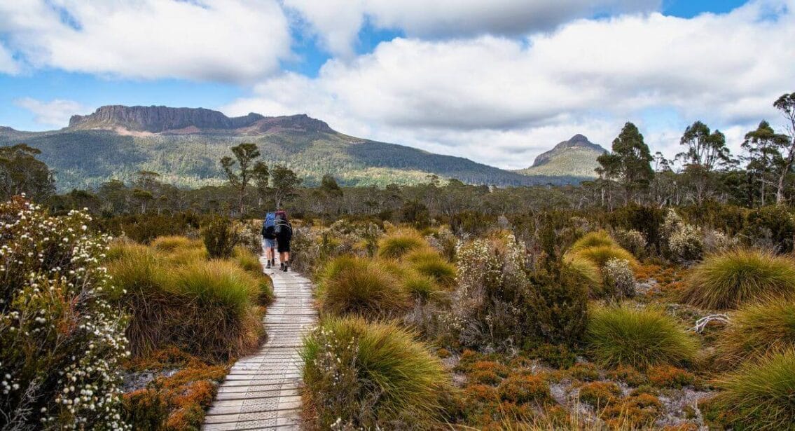 Beautiful Hikes in Launceston, Tasmania