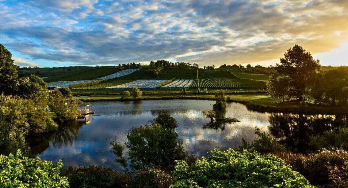 Josef Chromy Wines attractions in Launceston​, Tasmania