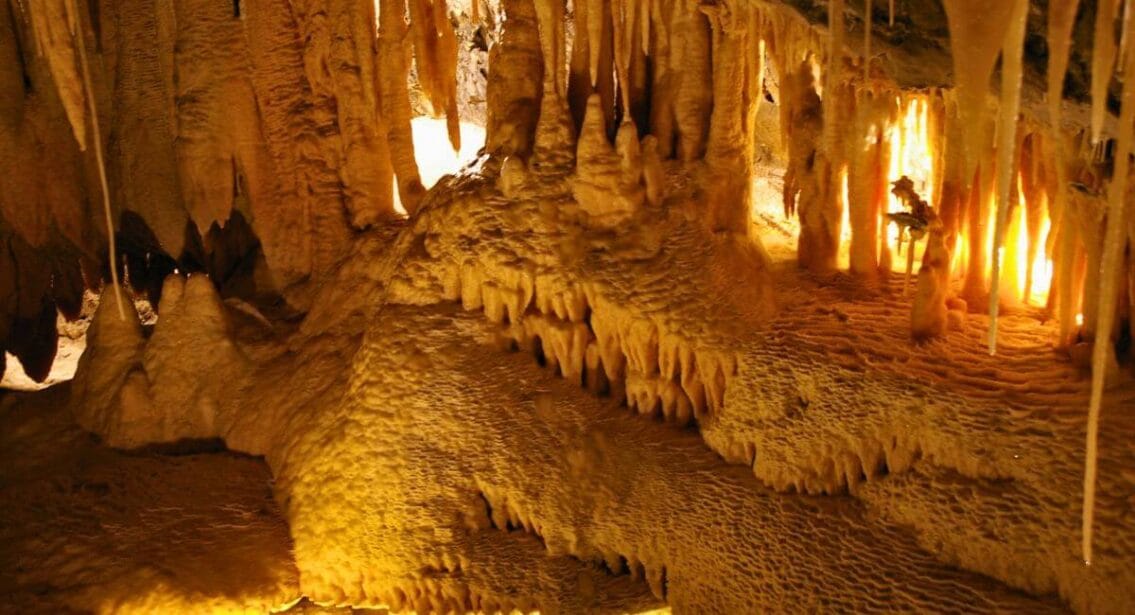 Mole Creek Caves in Tasmania, Australia