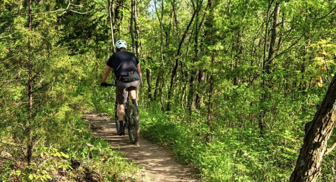 Mountain Biking in Launceston , Tasmania