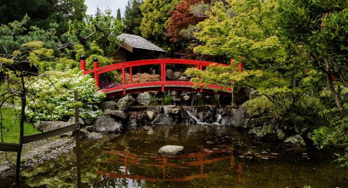 Royal Tasmanian Botanical Gardens in Hobart, Tasmania, Australia