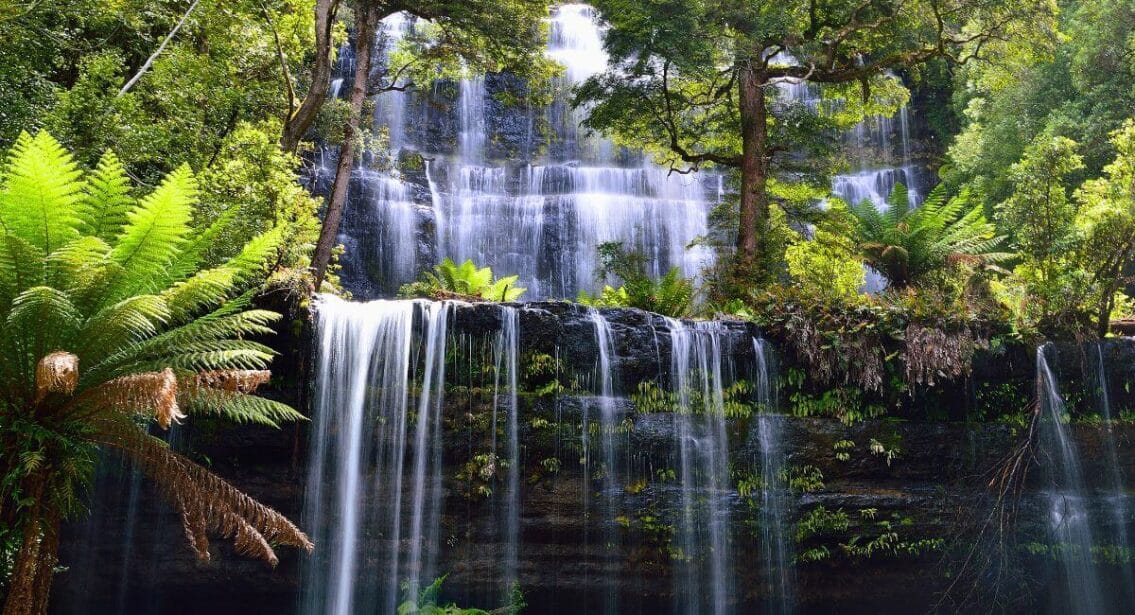 Russell Falls, Mount Field National Park  in Tasmania, Australia