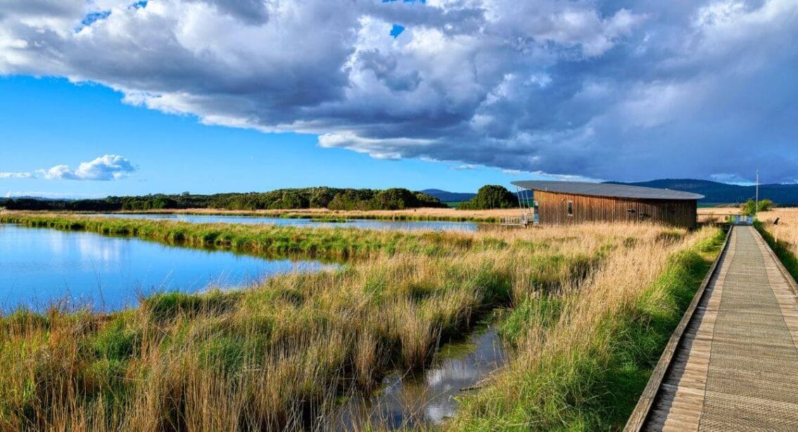 Tamar Island Wetlands attractions in Launceston, Tasmania​