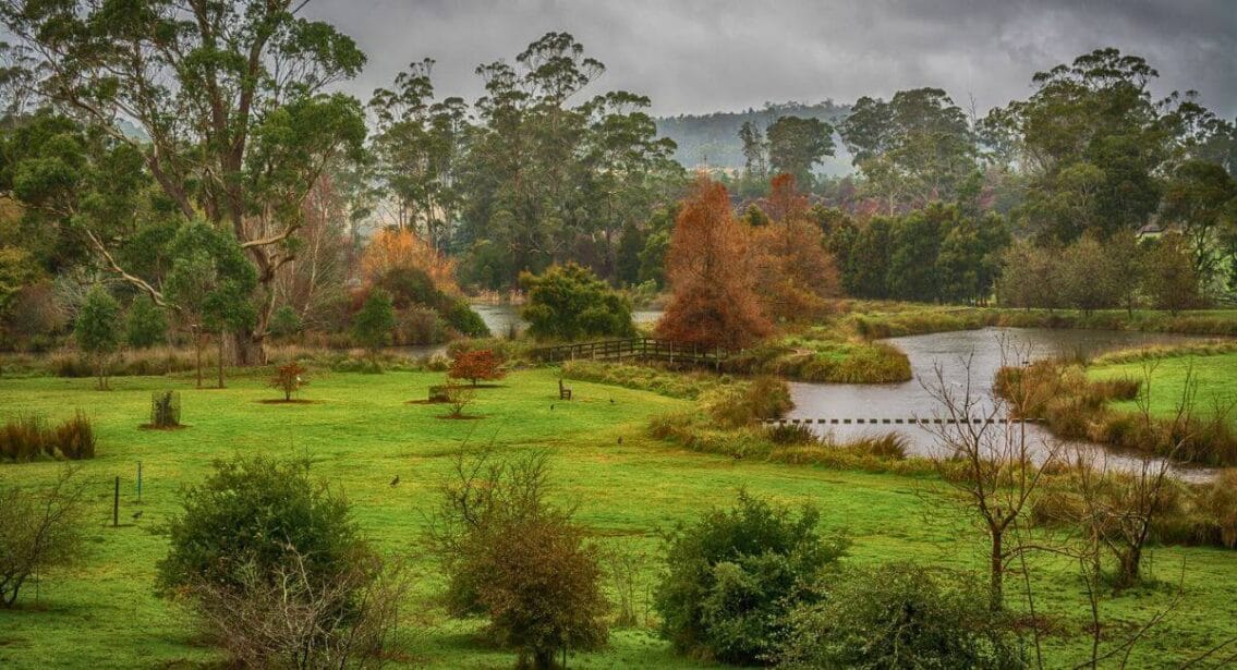 Tasmanian Arboretum in Devonport, Tasmania