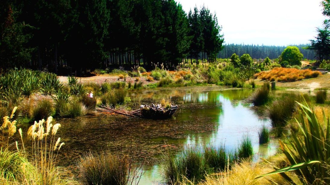 Bottle Lake Forest in Christchurch, New Zealand