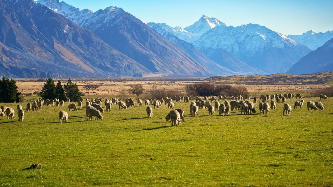 Canterbury in New zealand