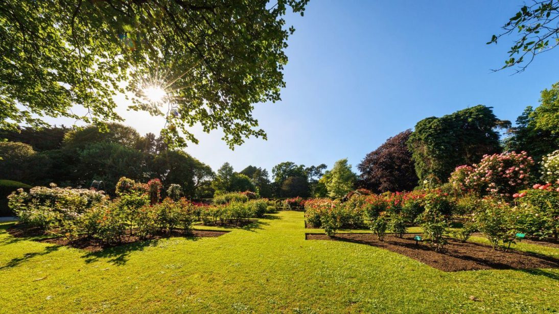 Christchurch Botanic Gardens in New Zealand