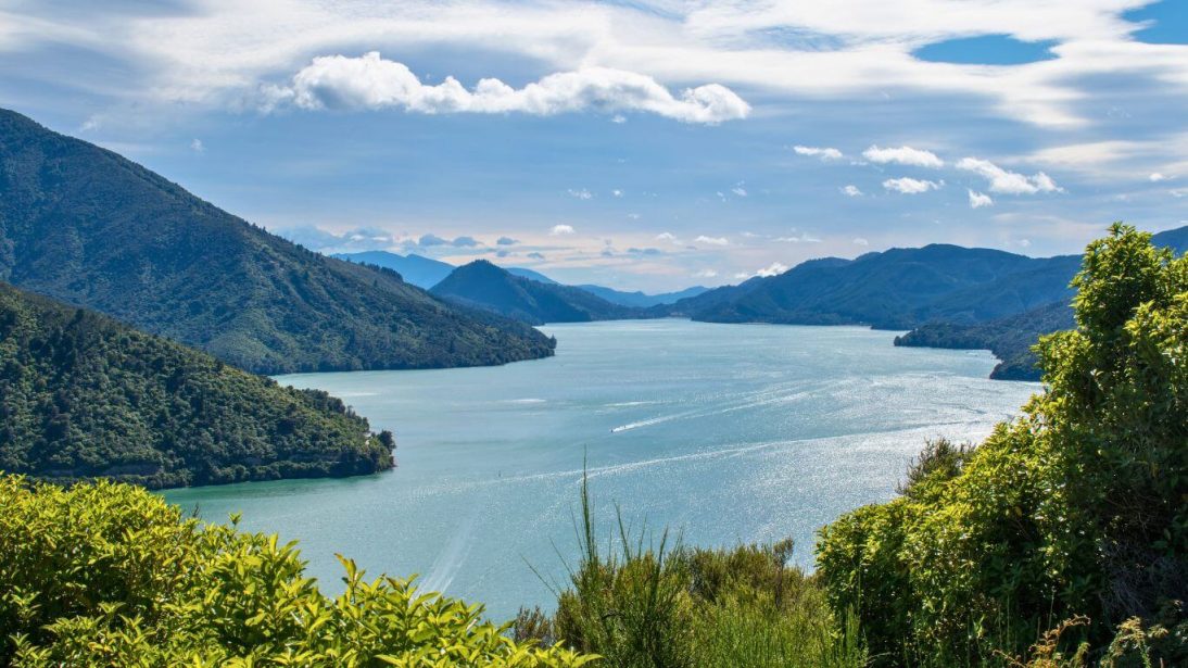 Cullen Point Lookout in Nelson