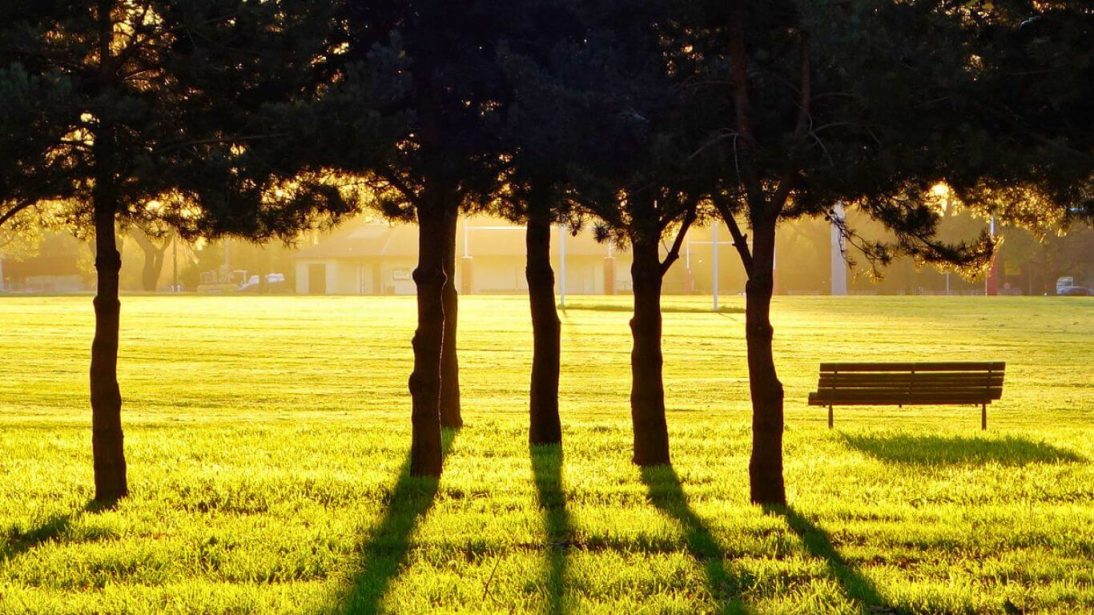 Hagley Park in Christchurch