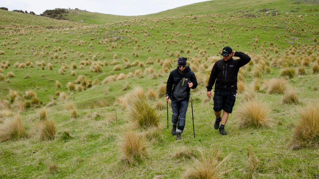 Hikes in Christchurch , New Zealand